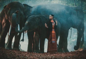 Que représente l’éléphant dans la culture bouddhiste ?